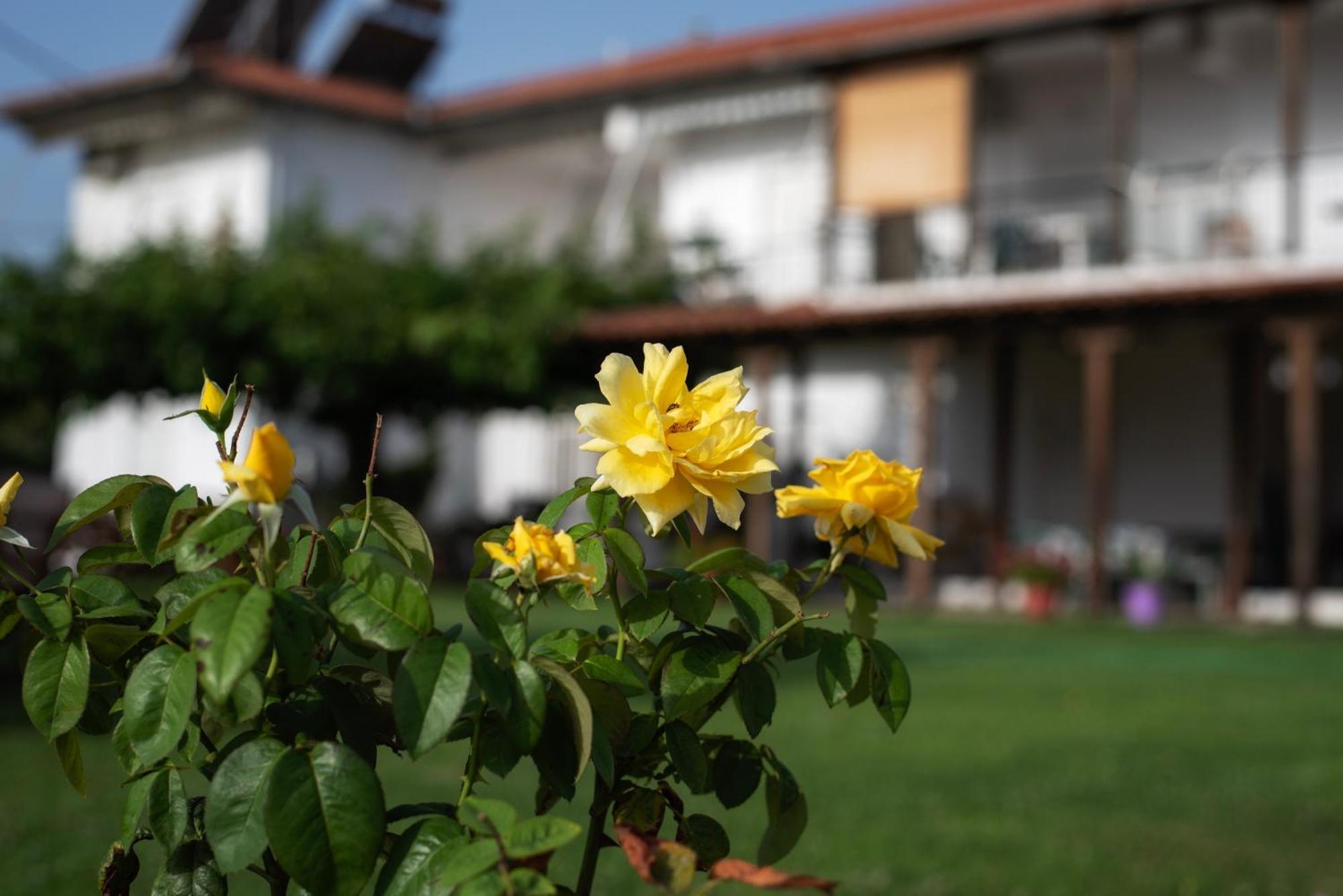 Marilena Apartments Anastasiou เวลิกา ภายนอก รูปภาพ
