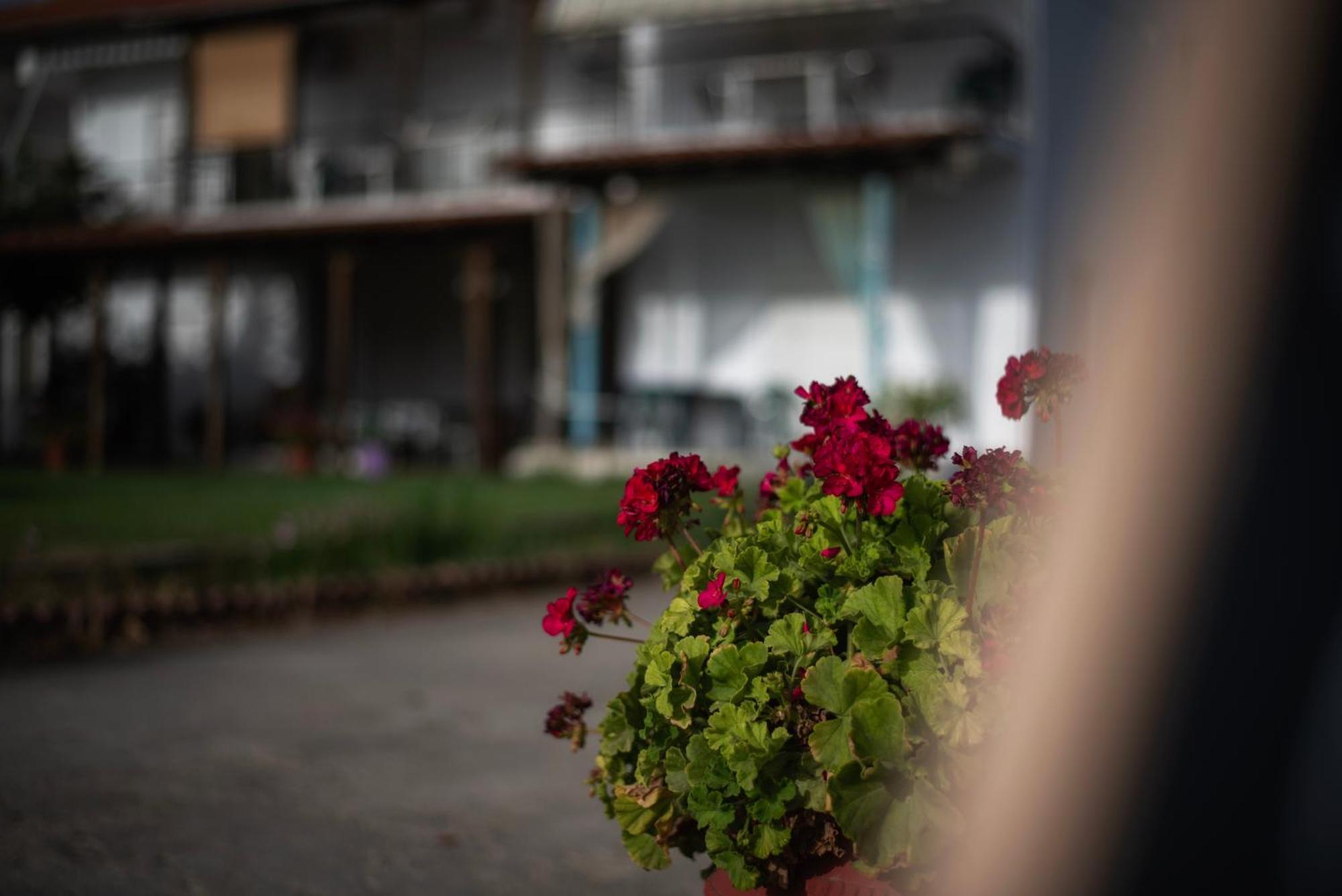 Marilena Apartments Anastasiou เวลิกา ภายนอก รูปภาพ